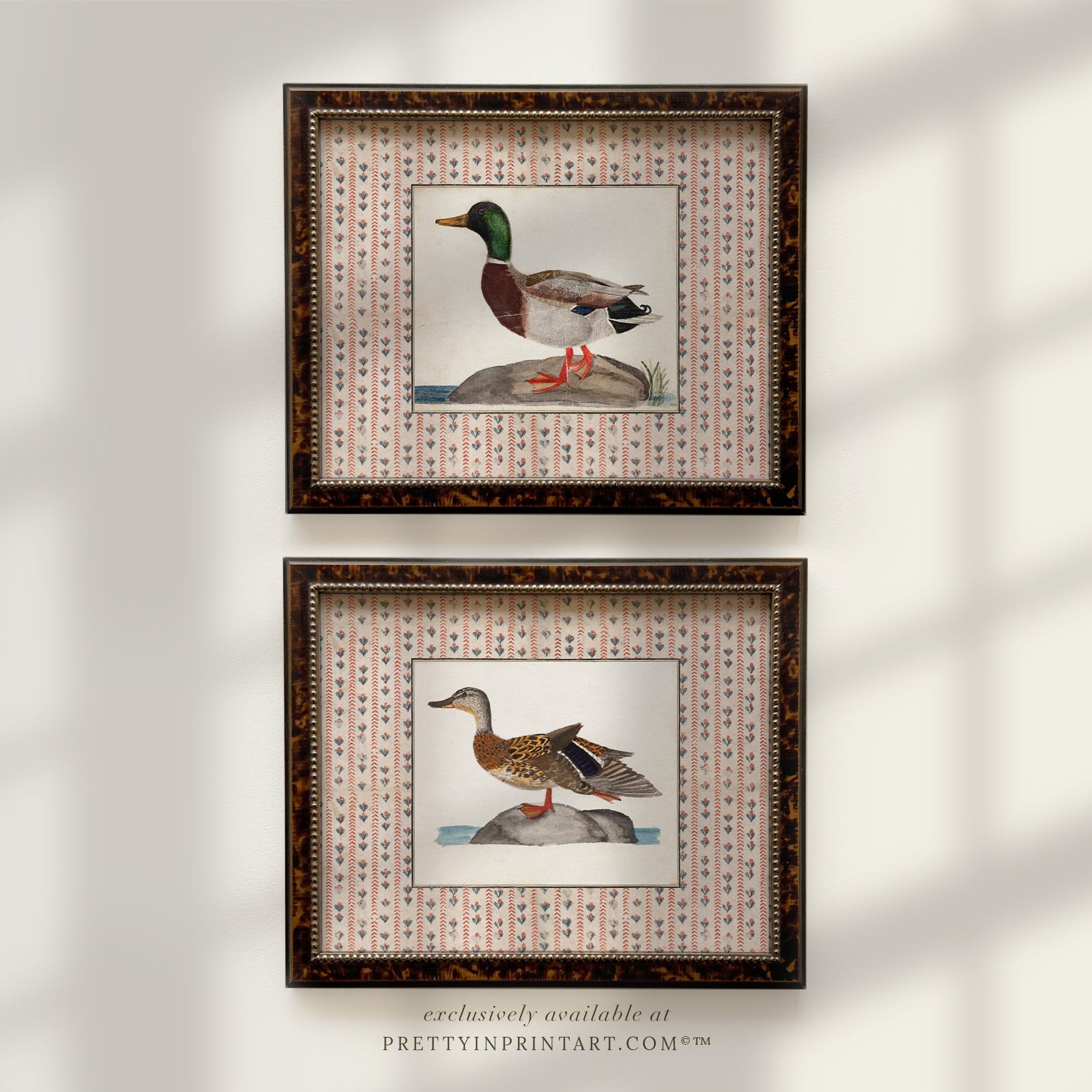Rustic Picture Frames – Charming Frames for Country-Style Decor