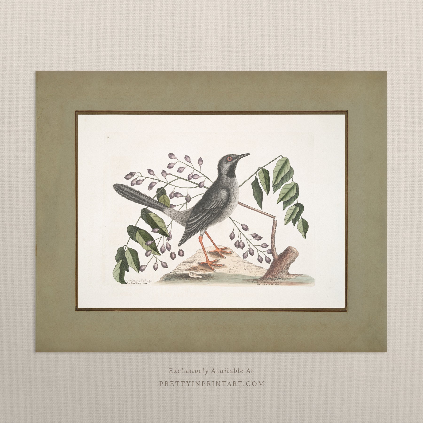 Vintage Art Prints – Classic Prints for Sophisticated Home Decor