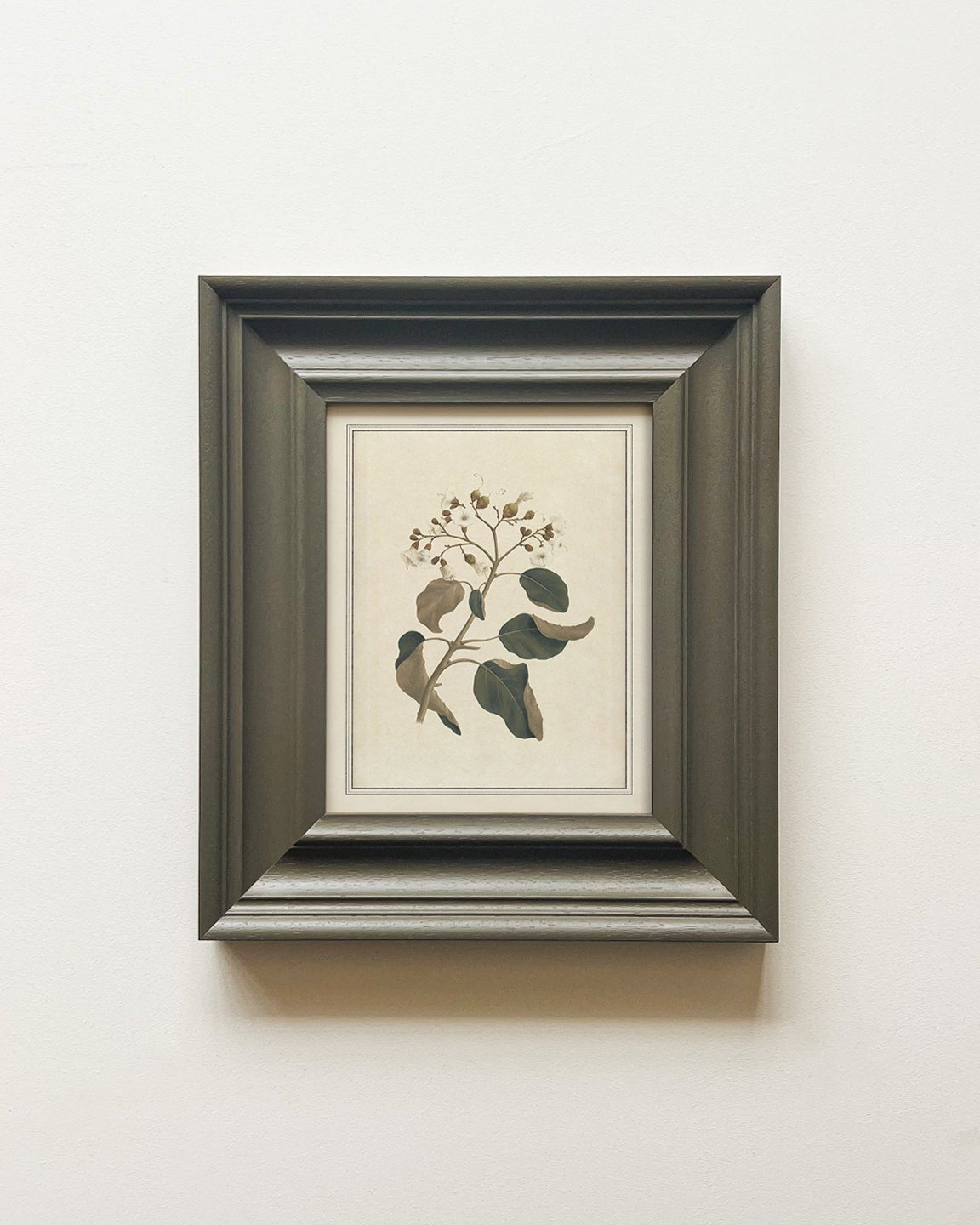 Botanical Vintage Wall Art Prints