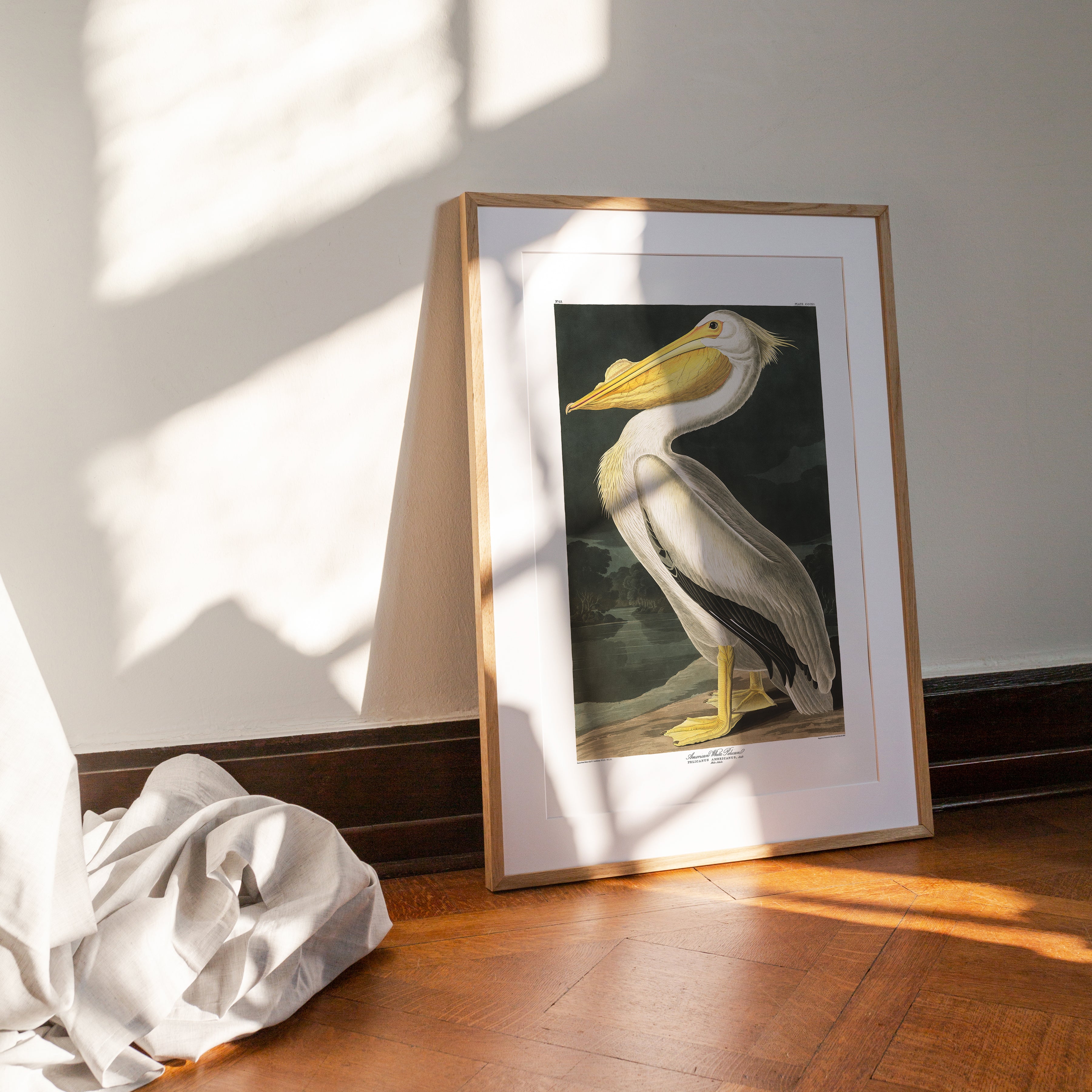 John J Audubon's - Birds of America