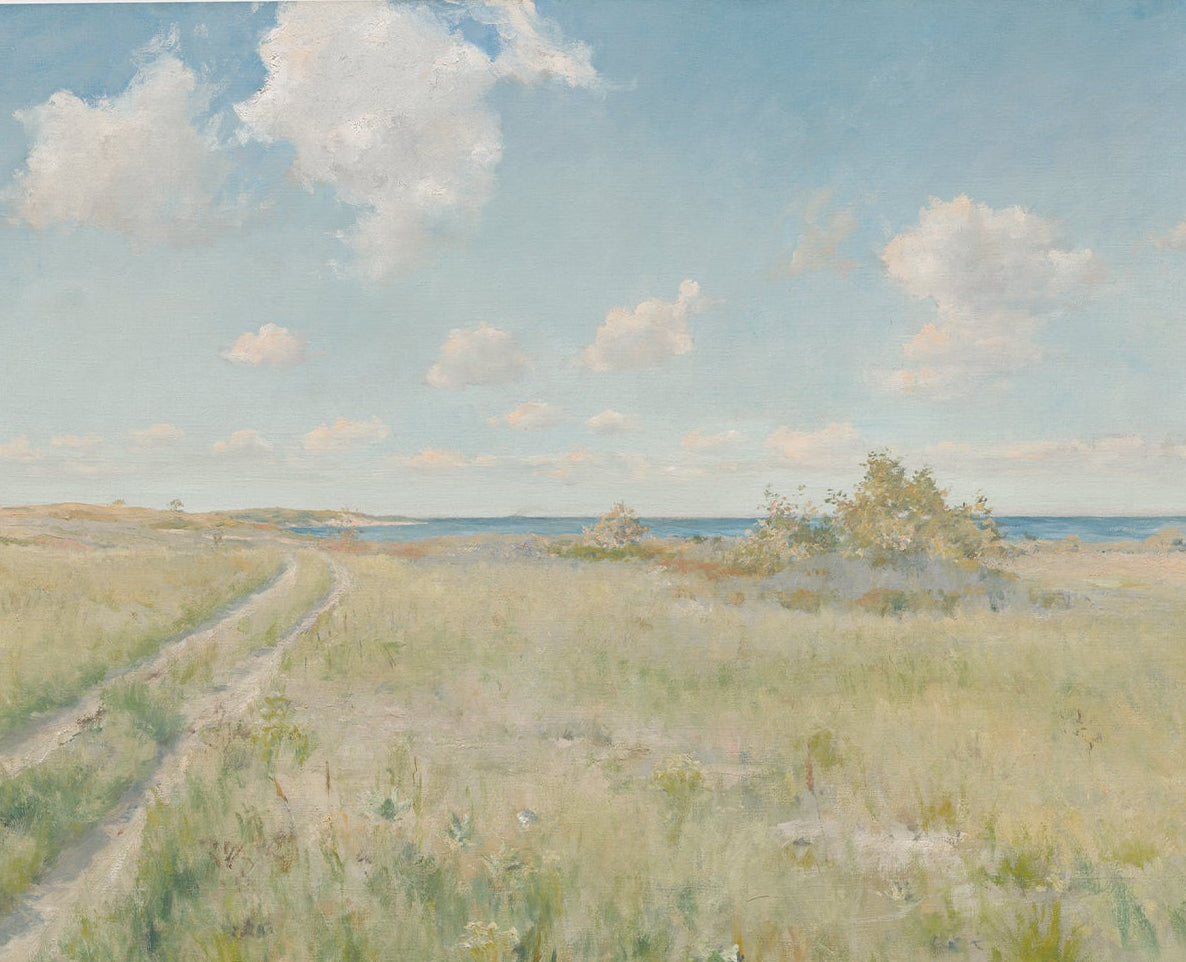 Landscape, Coastal 00576 | Unframed