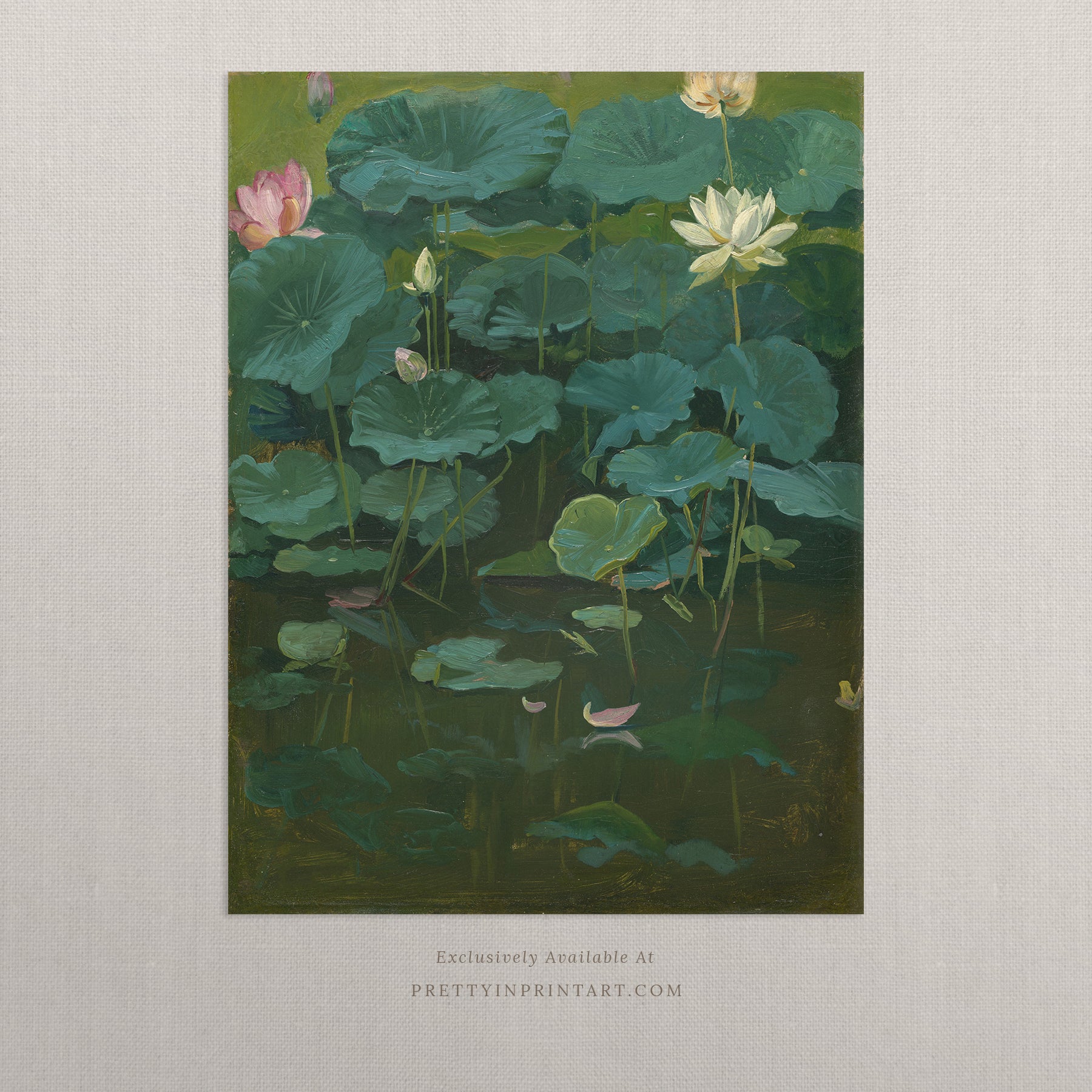 Lotus Flowers Still Life 00579 | Unframed