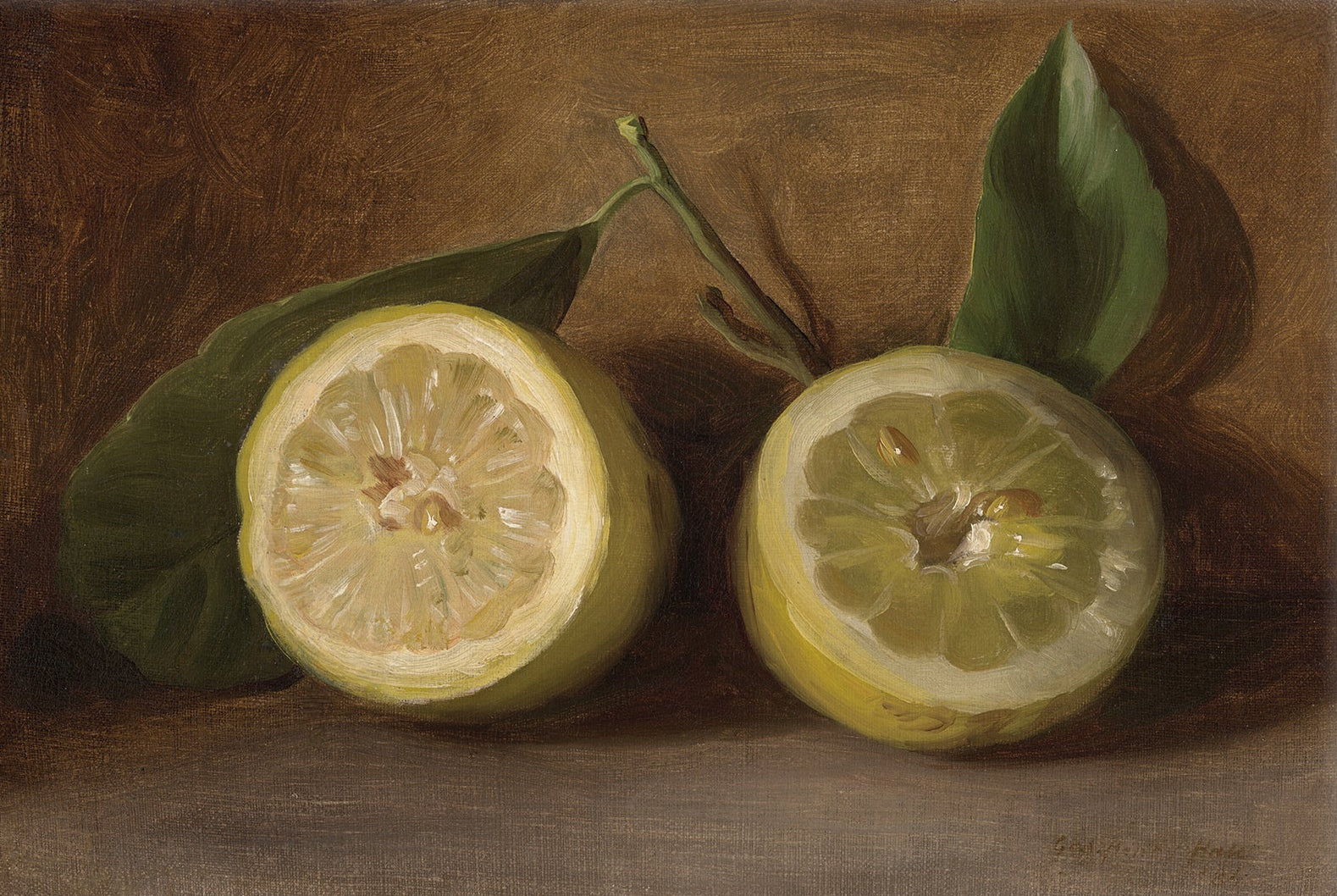Lemon Still Life 00589 | Unframed