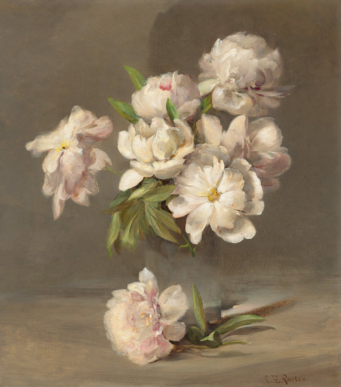 Pink Peonies Still Life 00591 | Unframed