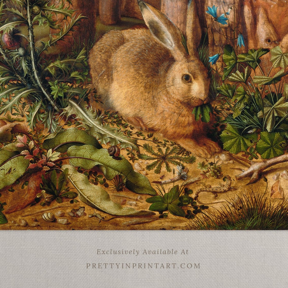 Woodland Hare 00795 | Unframed
