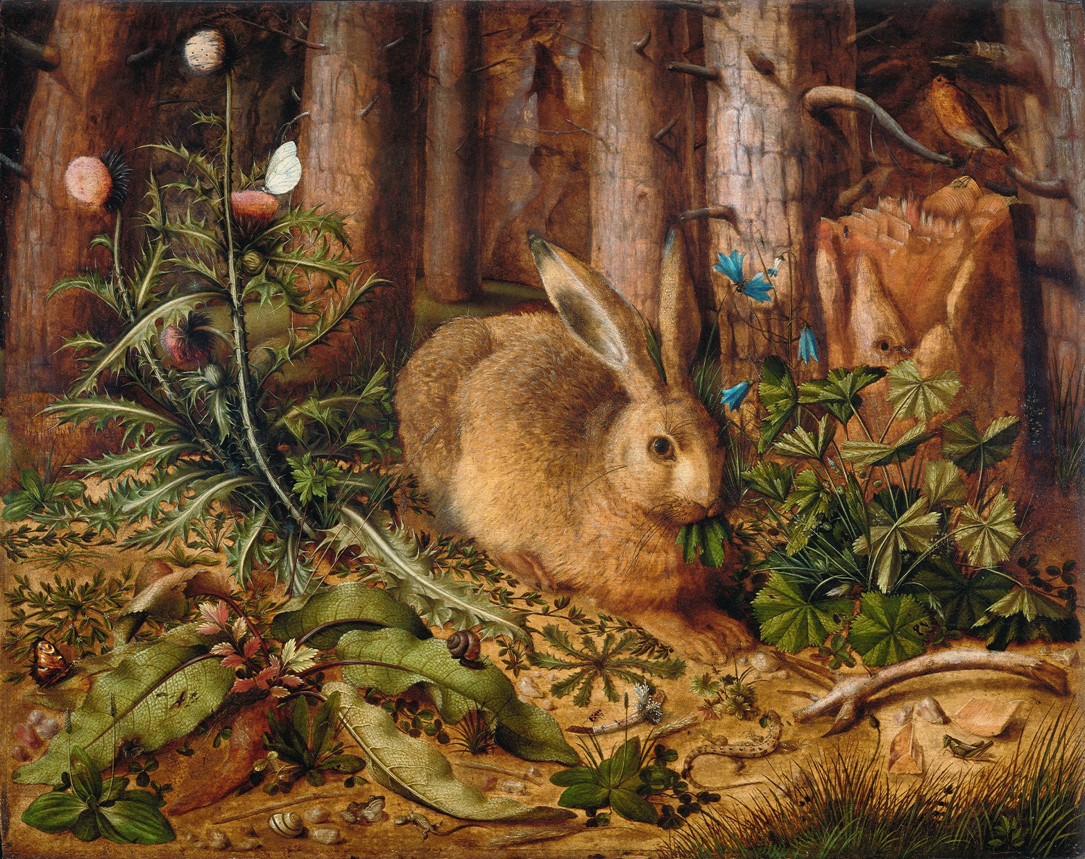 Woodland Hare 00795 | Unframed