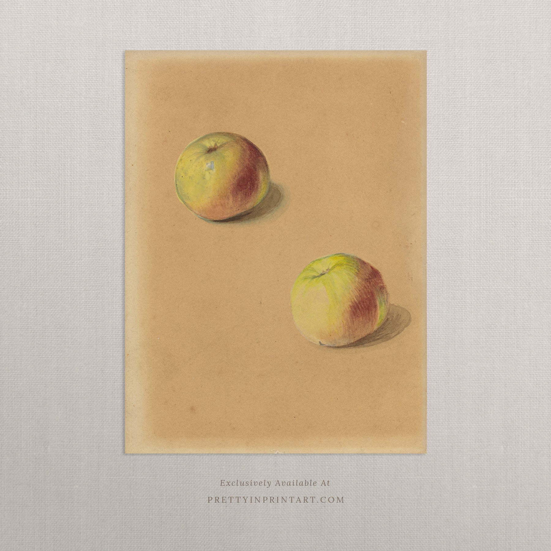 Apples Still Life 00906 | Unframed