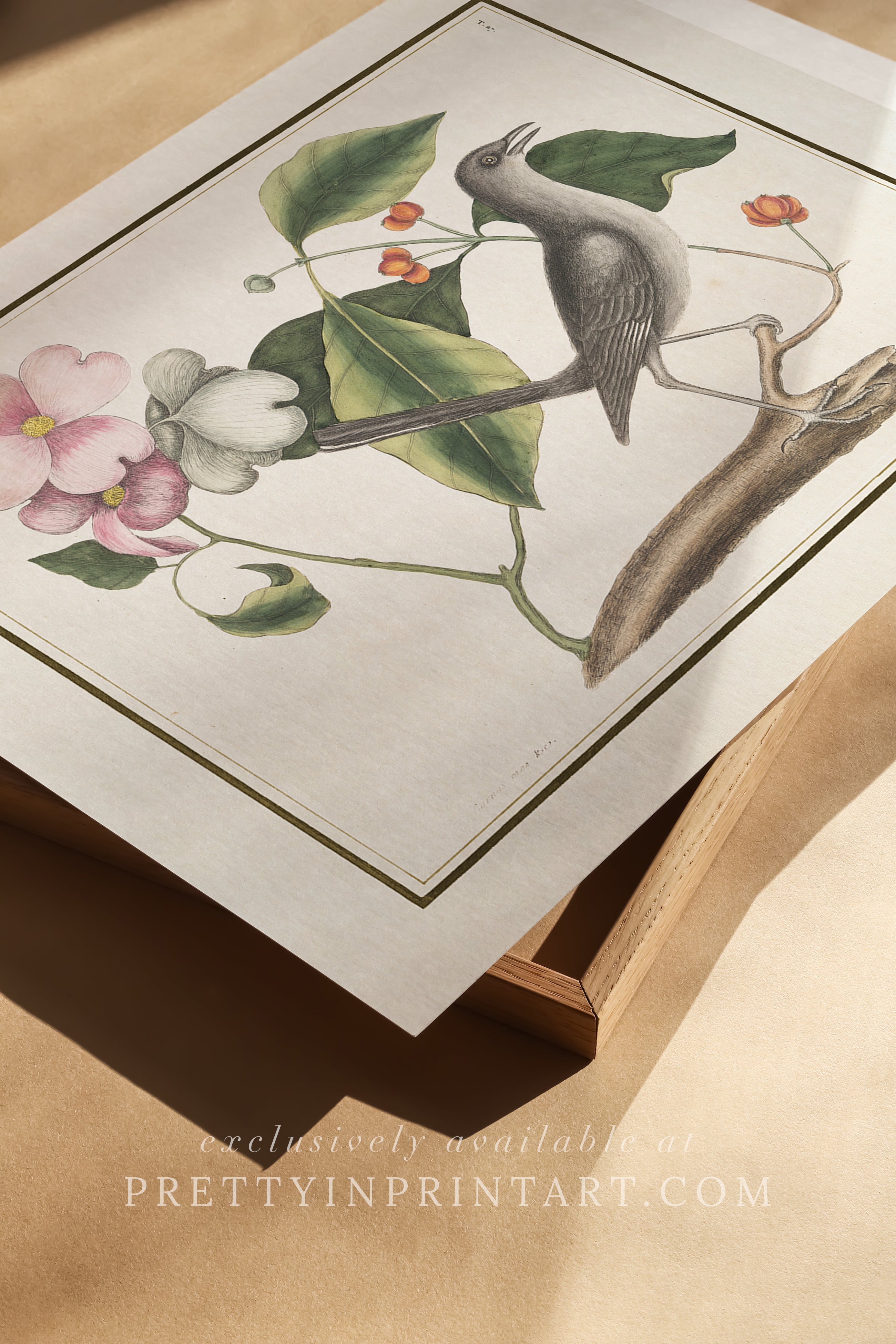 Vintage Bird Art Print 00914 | Unframed