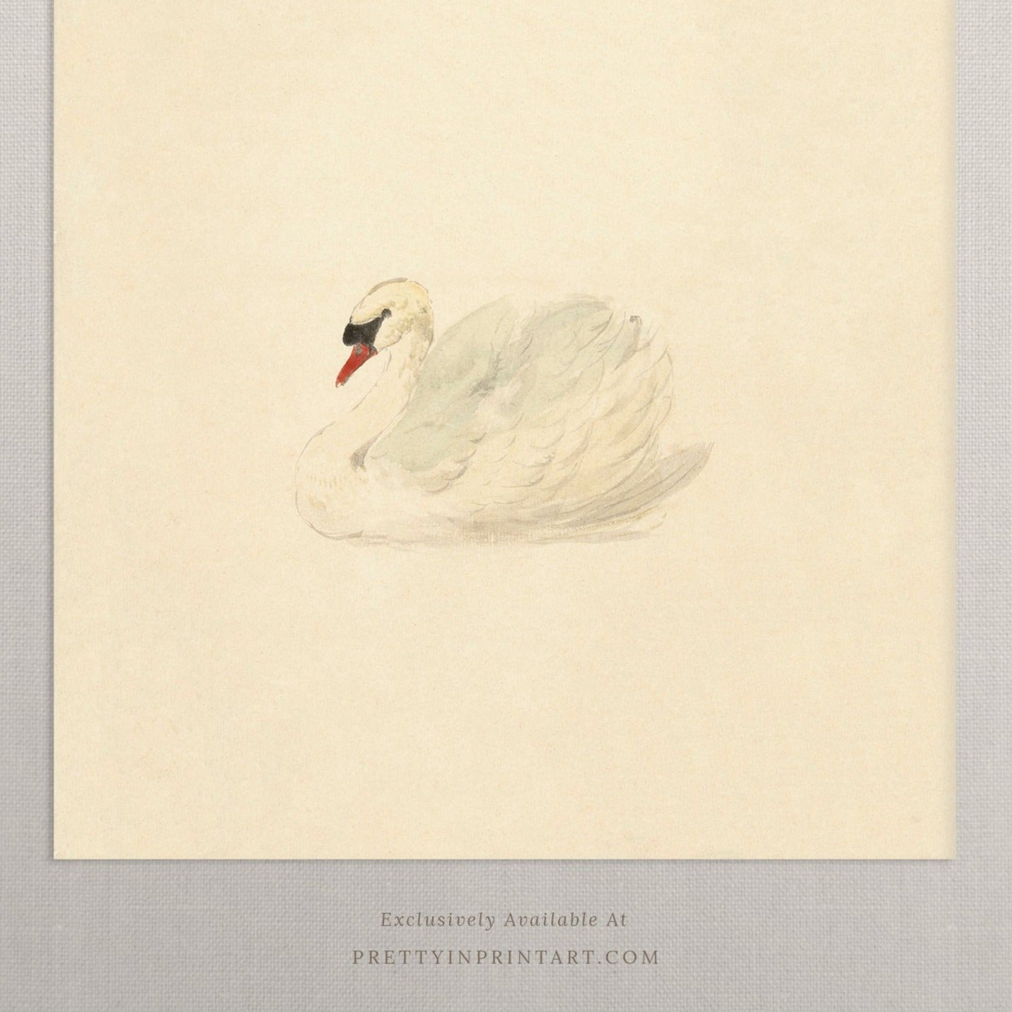 Vintage Swan Art 00510 | Unframed