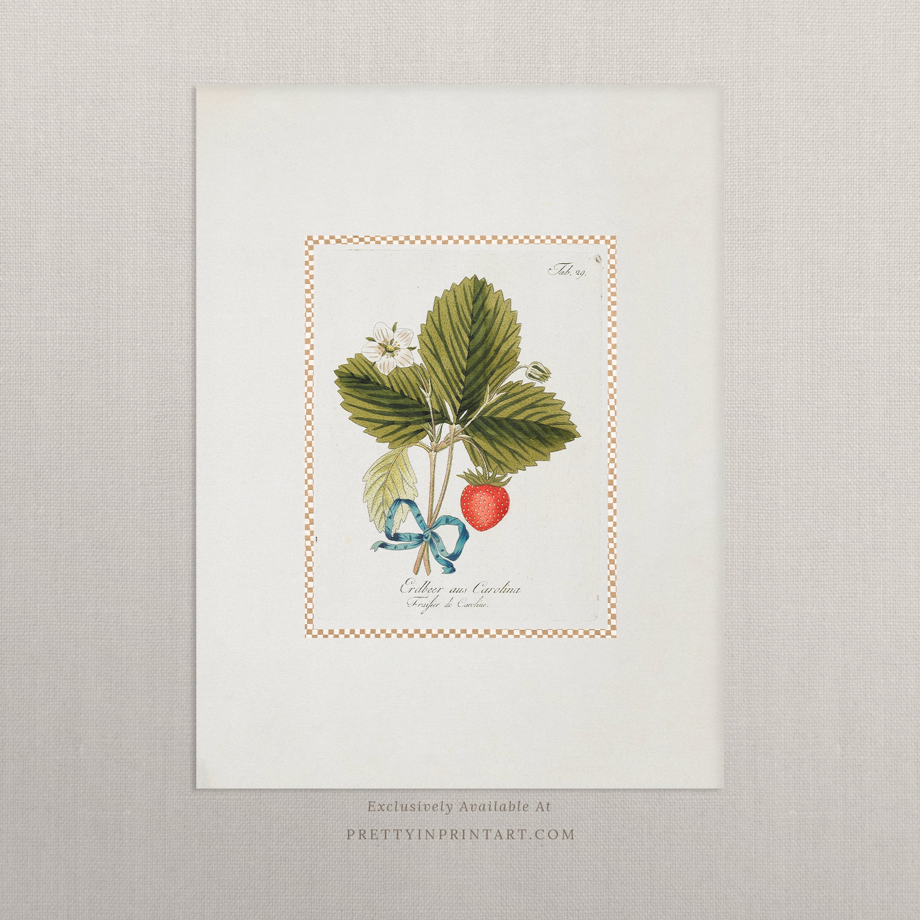Vintage Art Print; Strawberry Plant 002 | Unframed