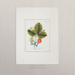 Vintage Strawberry Plant Art Print – Antique Botanical Wall Art, Unframed (002)