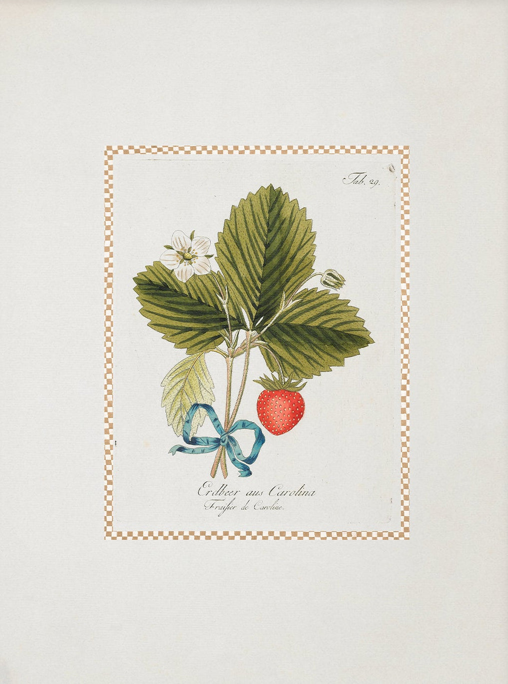 Vintage Art Print; Strawberry Plant 002 | Unframed