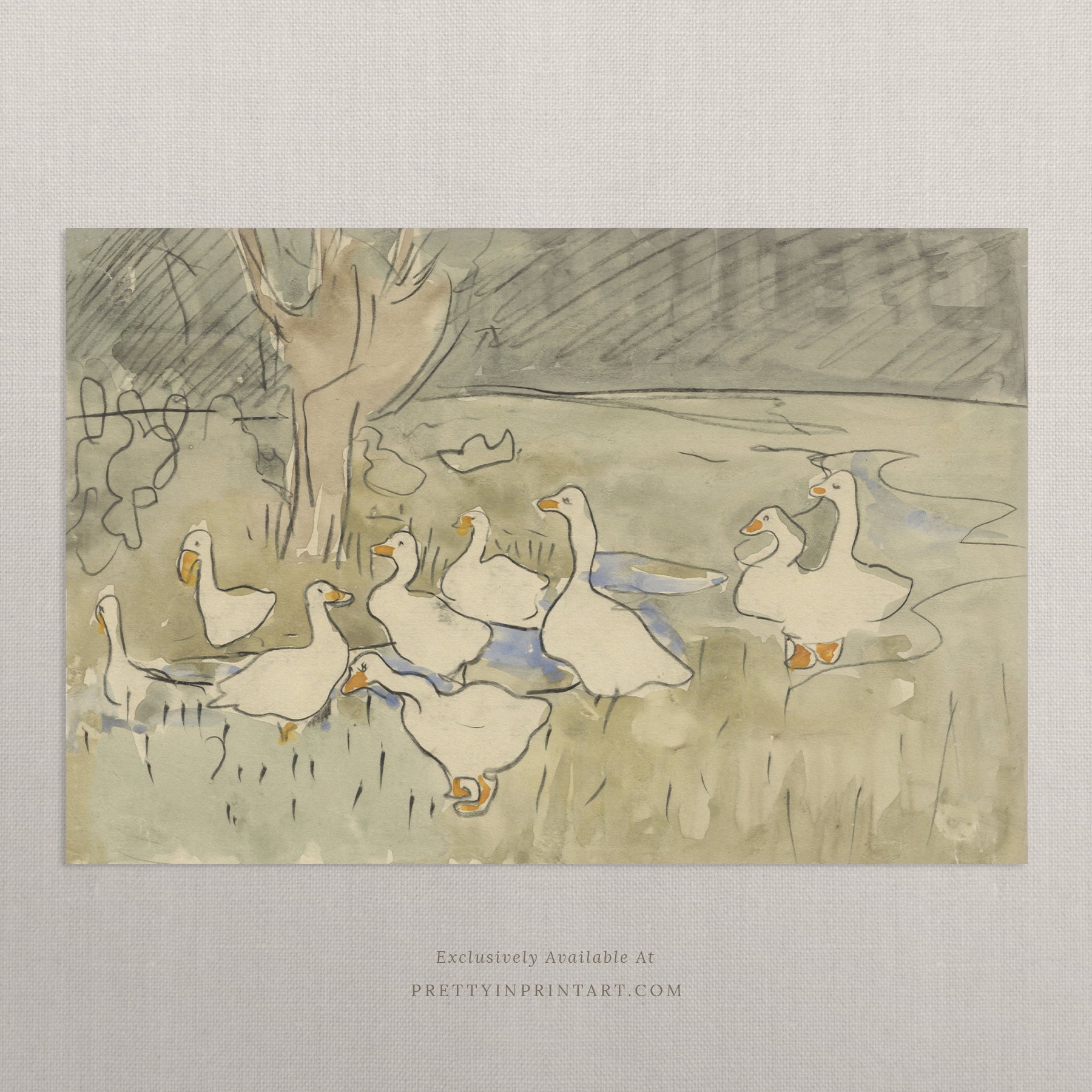 Vintage Duck Sketch Art 00549 | Unframed