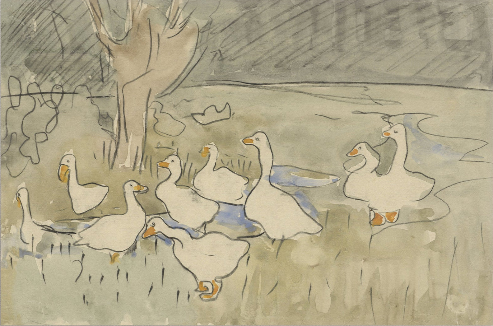 Vintage Duck Sketch Art 00549 | Unframed