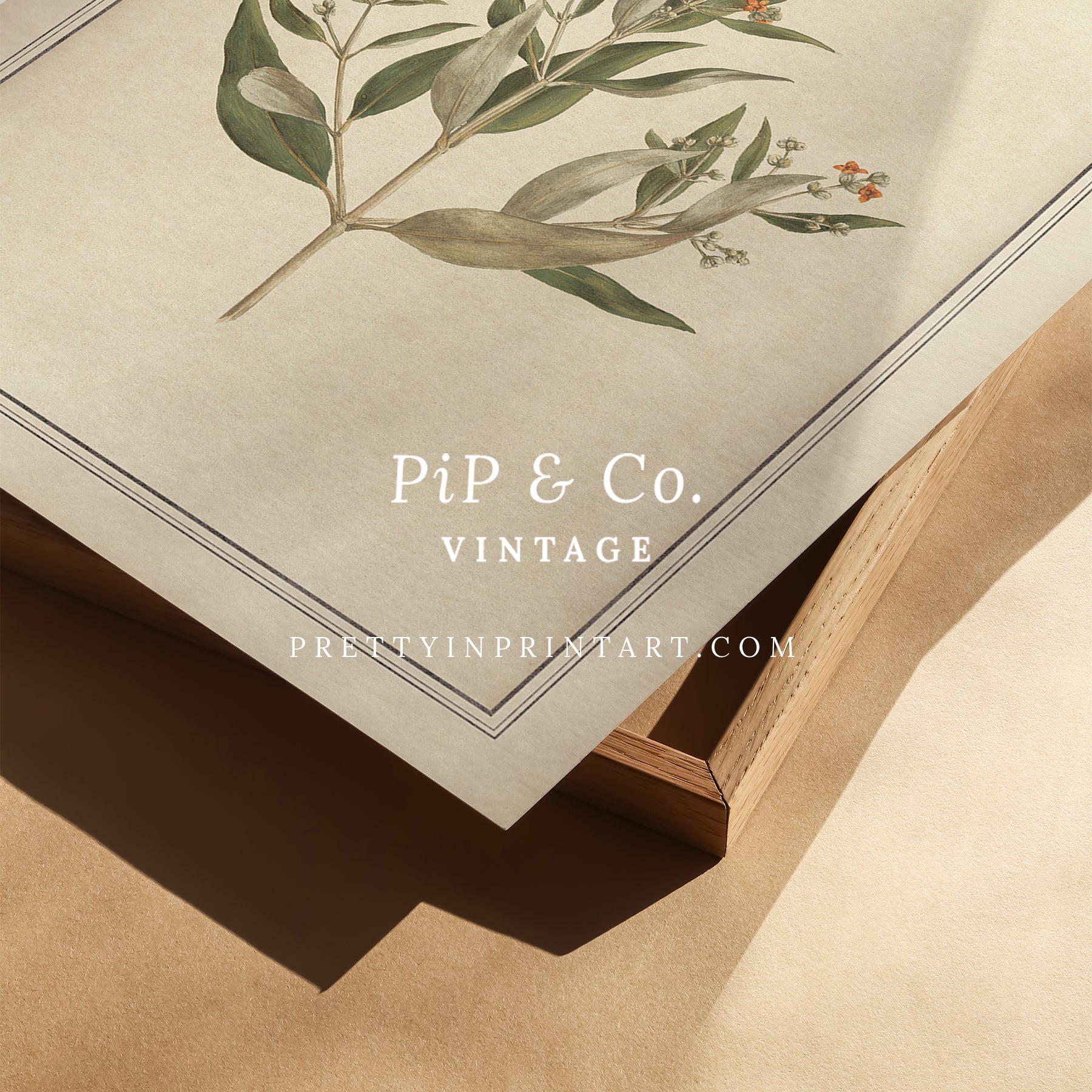 Vintage botanical art Antique plant prints Vintage botanical illustrations Framed botanical wall art Vintage floral prints Botanical artwork vintage Classic botanical prints Botanical wall decor Plant illustration vintage Historic botanical drawings