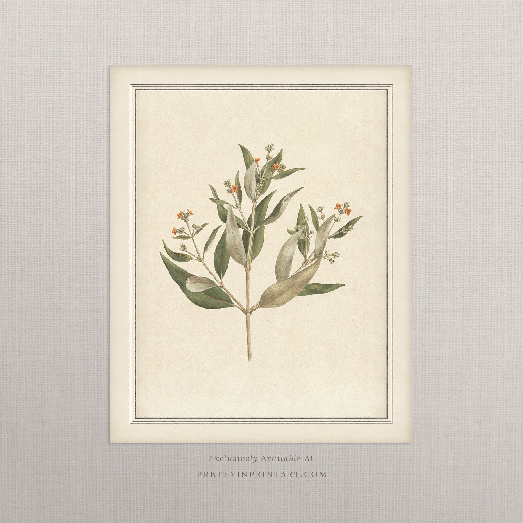 Vintage botanical art Antique plant prints Vintage botanical illustrations Framed botanical wall art Vintage floral prints Botanical artwork vintage Classic botanical prints Botanical wall decor Plant illustration vintage Historic botanical drawings