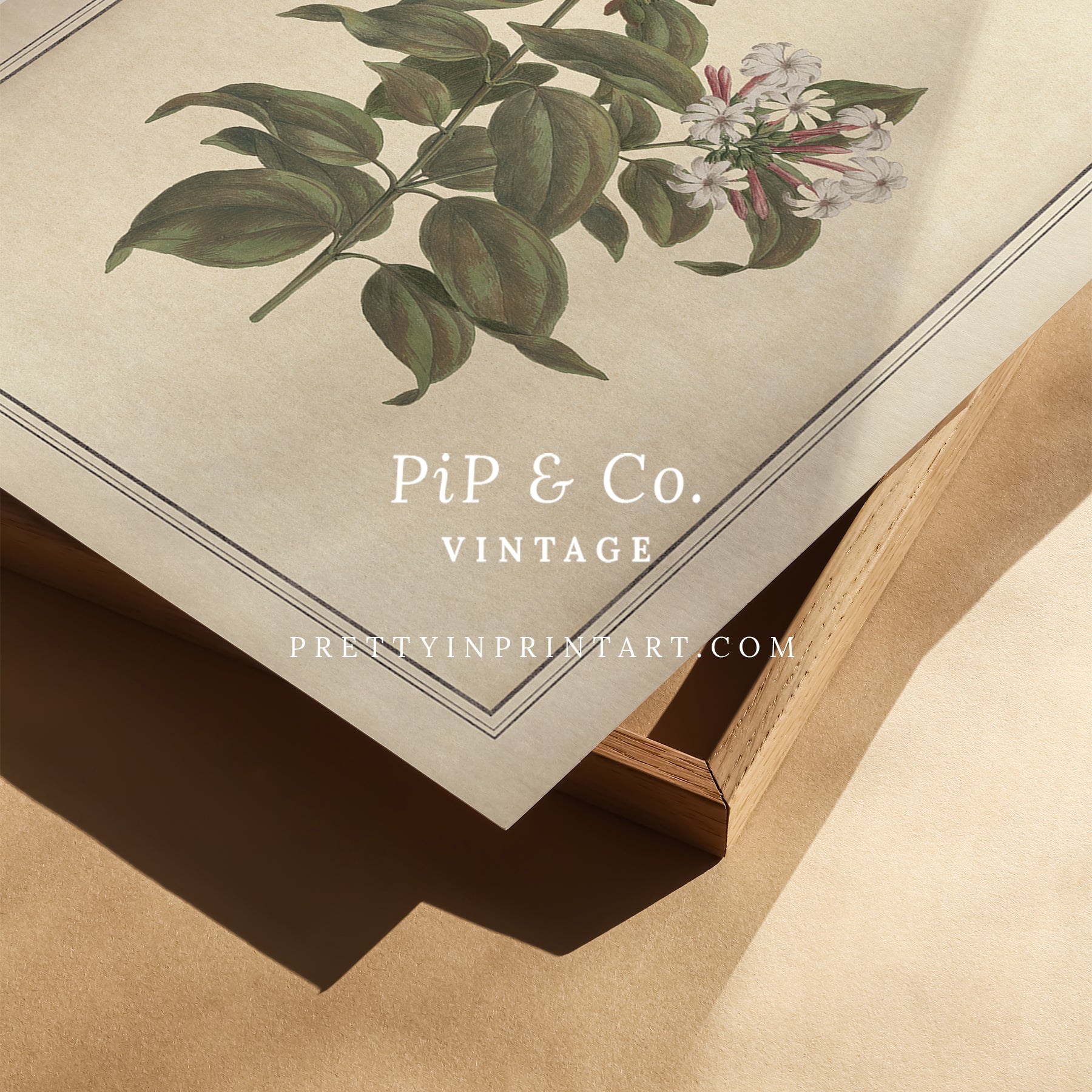 Vintage botanical art Antique plant prints Vintage botanical illustrations Framed botanical wall art Vintage floral prints Botanical artwork vintage Classic botanical prints Botanical wall decor Plant illustration vintage Historic botanical drawings
