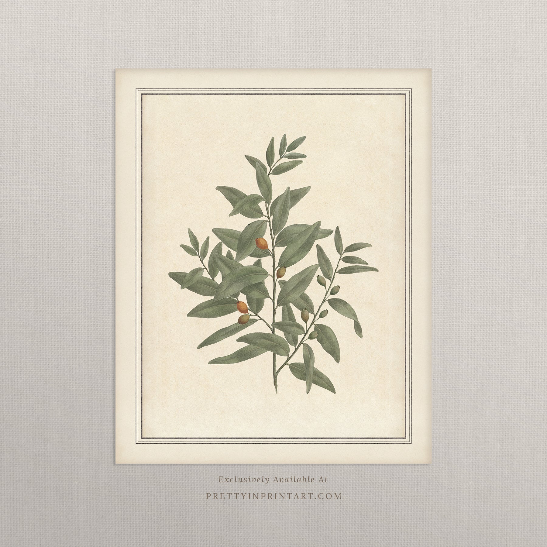 Vintage botanical art Antique plant prints Vintage botanical illustrations Framed botanical wall art Vintage floral prints Botanical artwork vintage Classic botanical prints Botanical wall decor Plant illustration vintage Historic botanical drawings