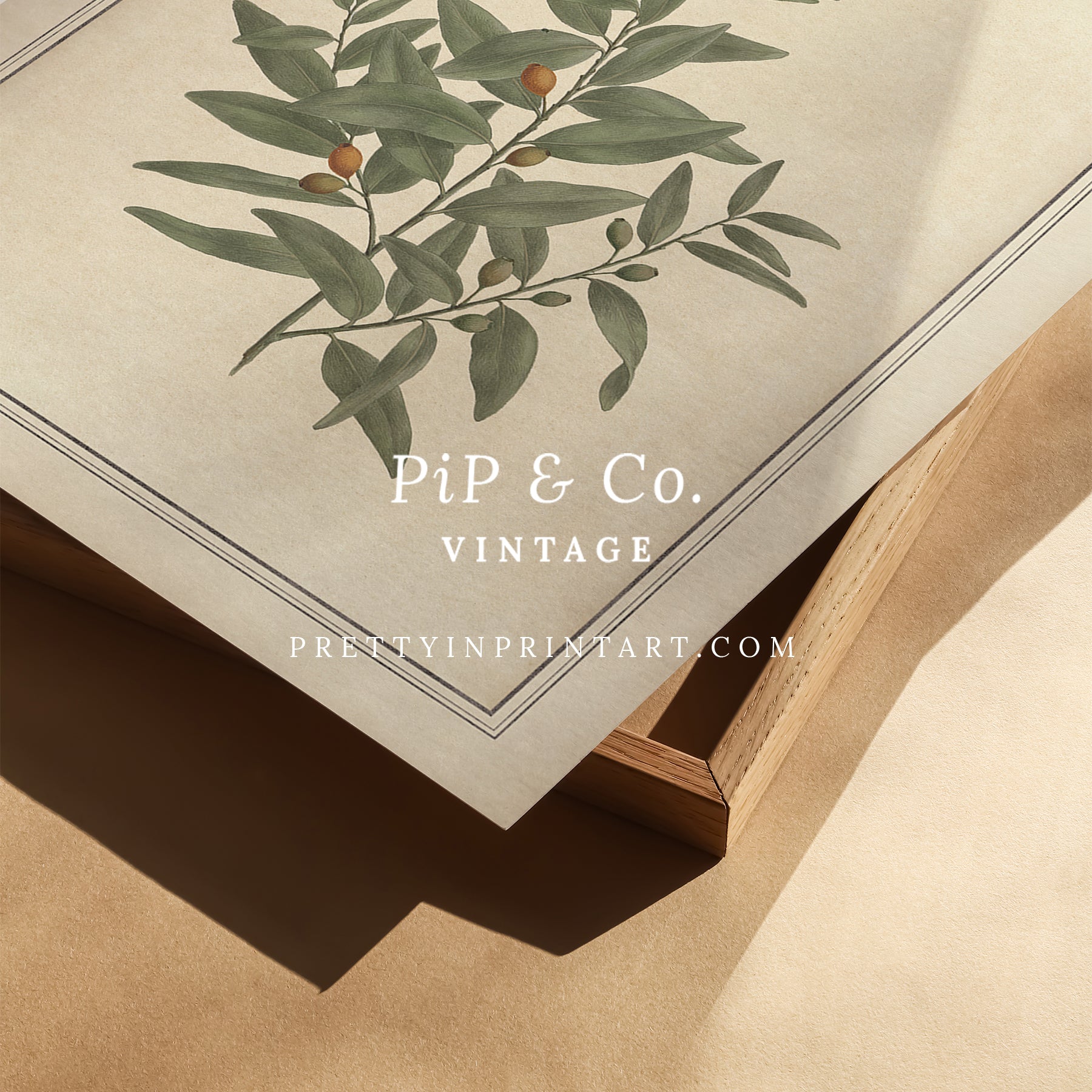 Vintage botanical art Antique plant prints Vintage botanical illustrations Framed botanical wall art Vintage floral prints Botanical artwork vintage Classic botanical prints Botanical wall decor Plant illustration vintage Historic botanical drawings