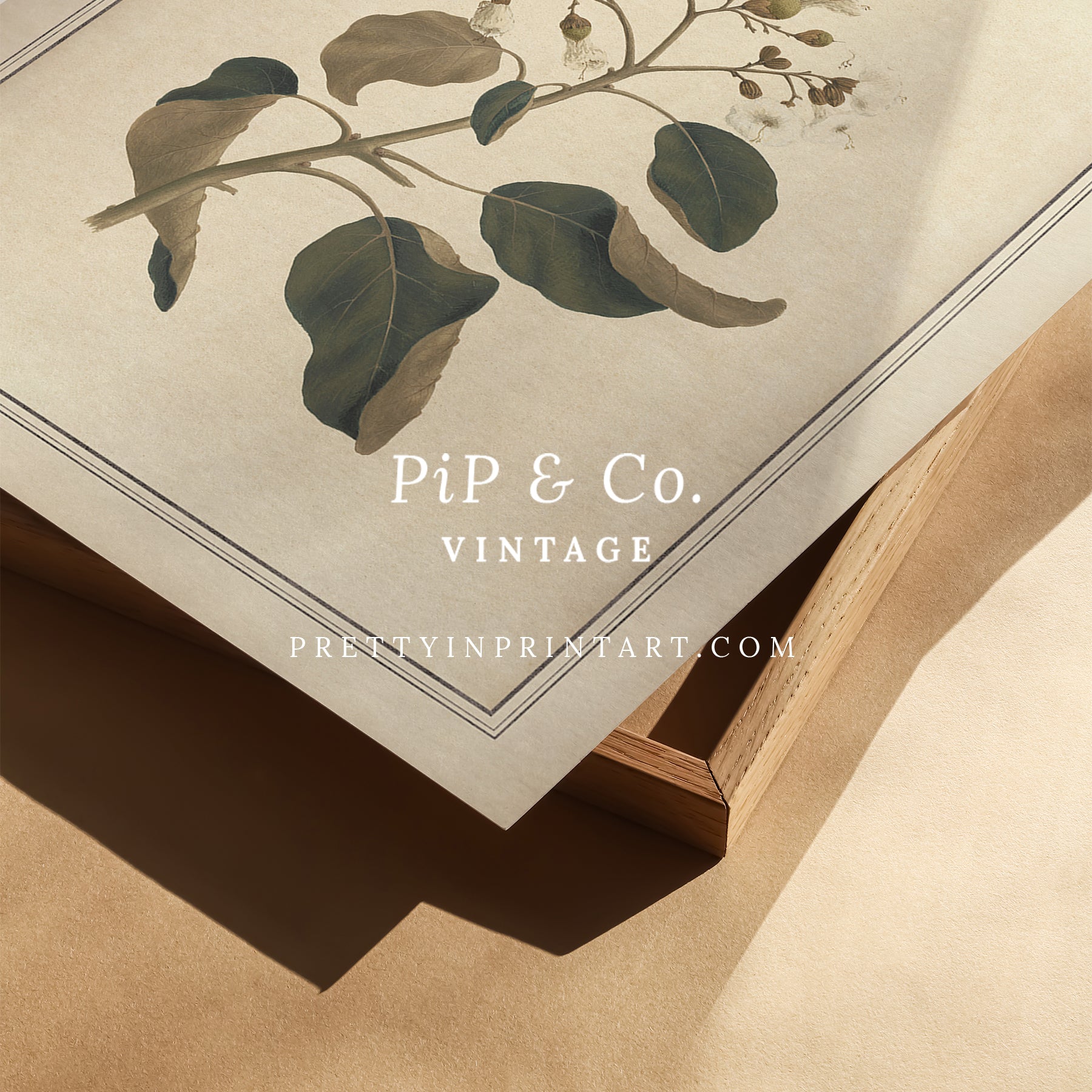 Vintage botanical art Antique plant prints Vintage botanical illustrations Framed botanical wall art Vintage floral prints Botanical artwork vintage Classic botanical prints Botanical wall decor Plant illustration vintage Historic botanical drawings