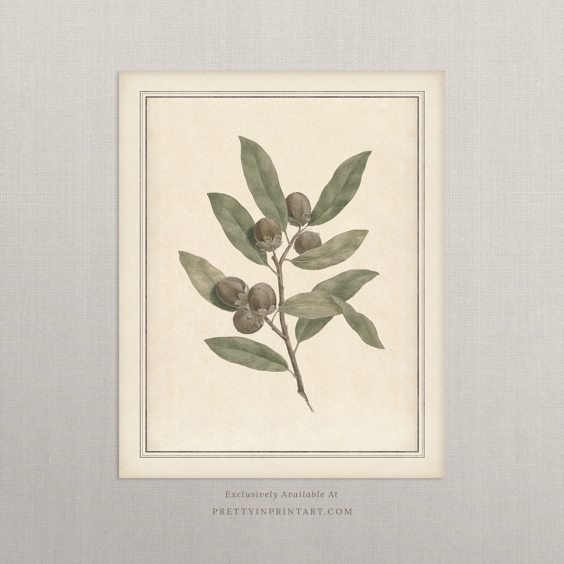 Vintage botanical art Antique plant prints Vintage botanical illustrations Framed botanical wall art Vintage floral prints Botanical artwork vintage Classic botanical prints Botanical wall decor Plant illustration vintage Historic botanical drawings