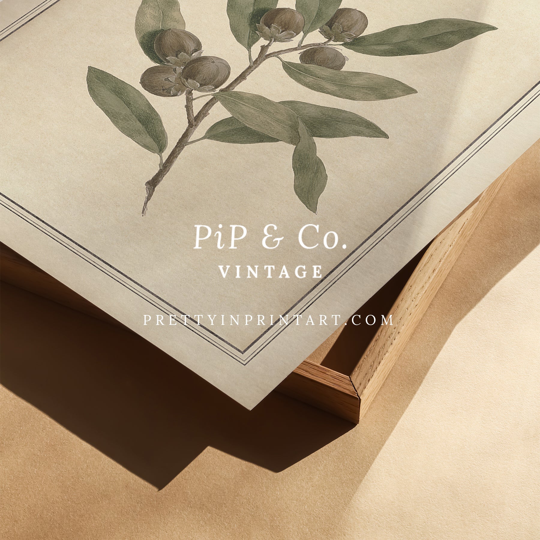 Vintage botanical art Antique plant prints Vintage botanical illustrations Framed botanical wall art Vintage floral prints Botanical artwork vintage Classic botanical prints Botanical wall decor Plant illustration vintage Historic botanical drawings