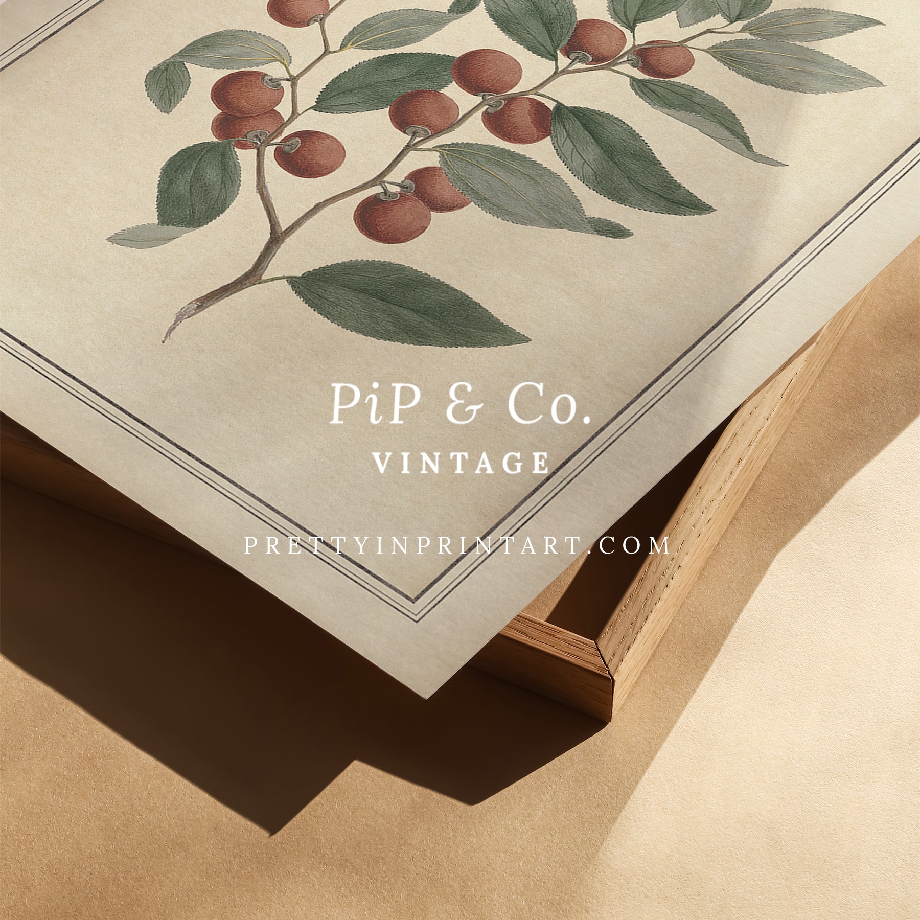 Vintage botanical art Antique plant prints Vintage botanical illustrations Framed botanical wall art Vintage floral prints Botanical artwork vintage Classic botanical prints Botanical wall decor Plant illustration vintage Historic botanical drawings