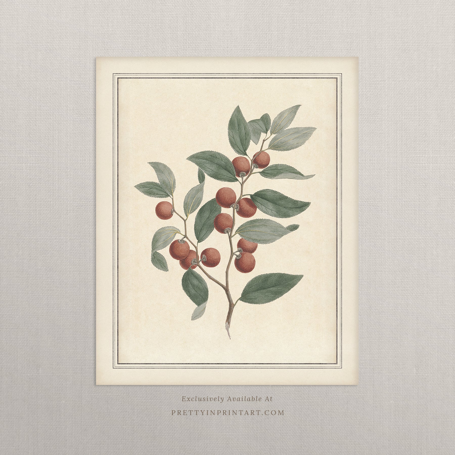 Vintage botanical art Antique plant prints Vintage botanical illustrations Framed botanical wall art Vintage floral prints Botanical artwork vintage Classic botanical prints Botanical wall decor Plant illustration vintage Historic botanical drawings
