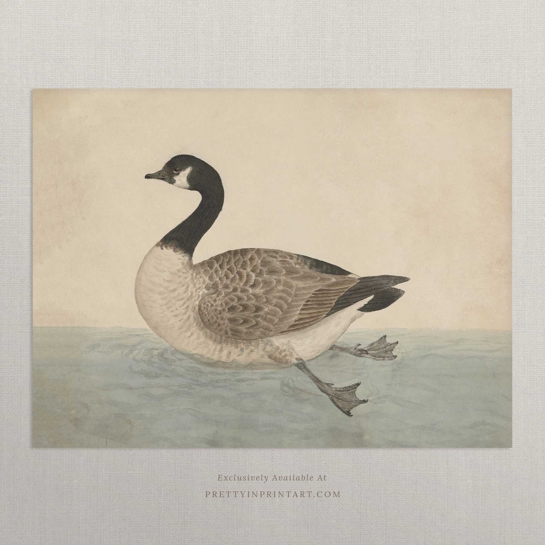 Vintage Canada Goose Art 00543 Unframed