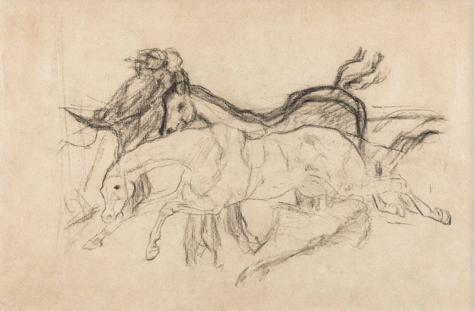 Vintage Horse Sketch Art 00535 | Unframed