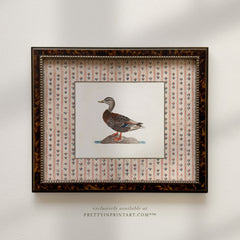 Vintage Duck Art 008 (BRN-TOR-2124)
