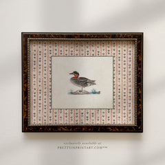 Vintage Duck Art 007 (BRN-TOR-2124)