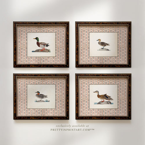 Vintage Duck Art Prints