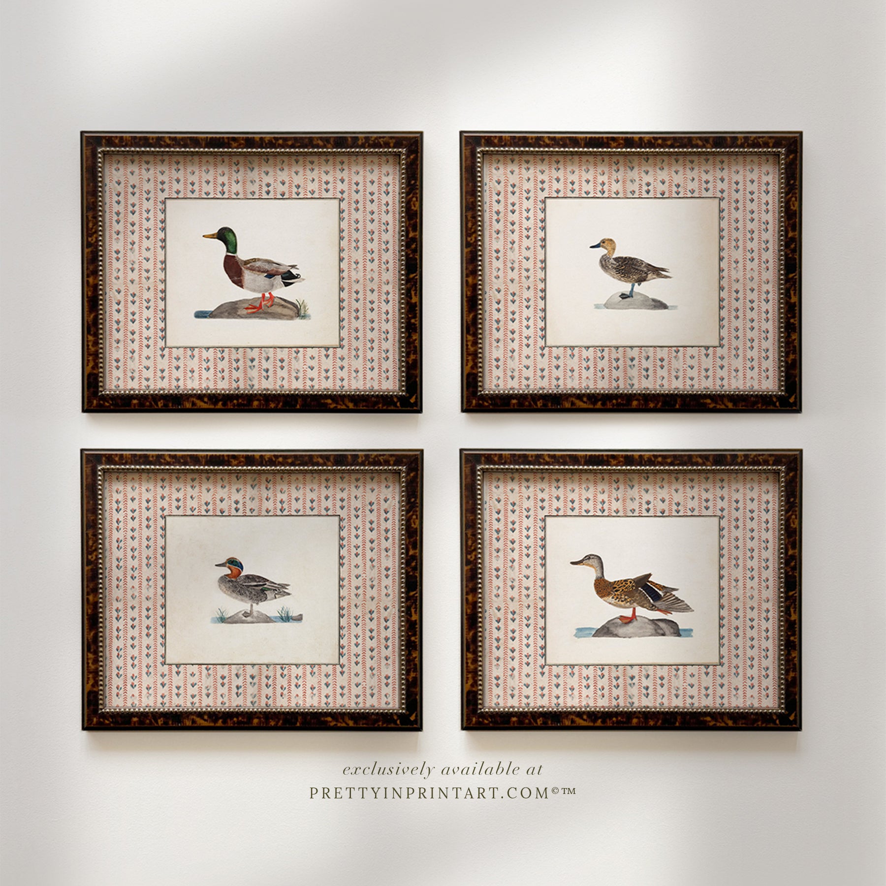 Vintage-style art prints featuring ducks, geese, swans, framed in classic gold or wood frames, perfect for traditional or country-themed vintage nursery, or any room in the home.