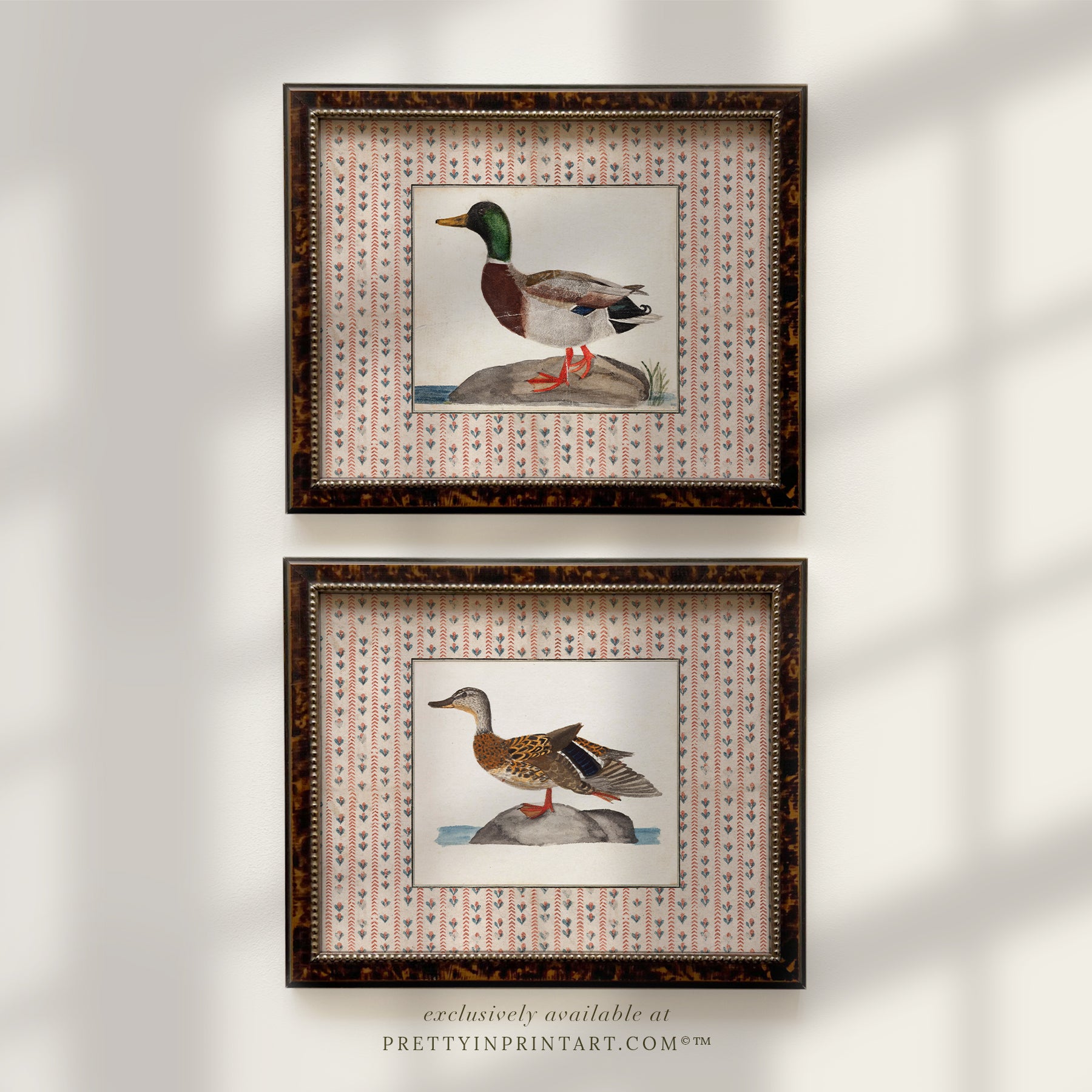 Vintage-style art prints featuring ducks, geese, swans, framed in classic gold or wood frames, perfect for traditional or country-themed vintage nursery, or any room in the home.