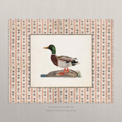 Vintage Duck Art Print – Antique Patterned Border, Farmhouse & Cottagecore Kitchen Wall Decor, Unframed (006)