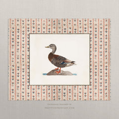 Vintage Duck Art Print – Antique Patterned Border, Farmhouse & Cottagecore Kitchen Wall Decor, Unframed (008)