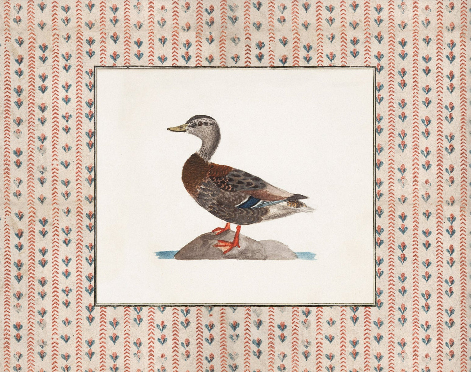 Vintage Duck Art 008 | Unframed