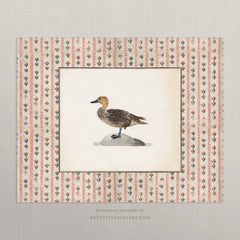 Vintage Duck Art Print – Antique Patterned Border, Farmhouse & Cottagecore Kitchen Wall Decor, Unframed (009)