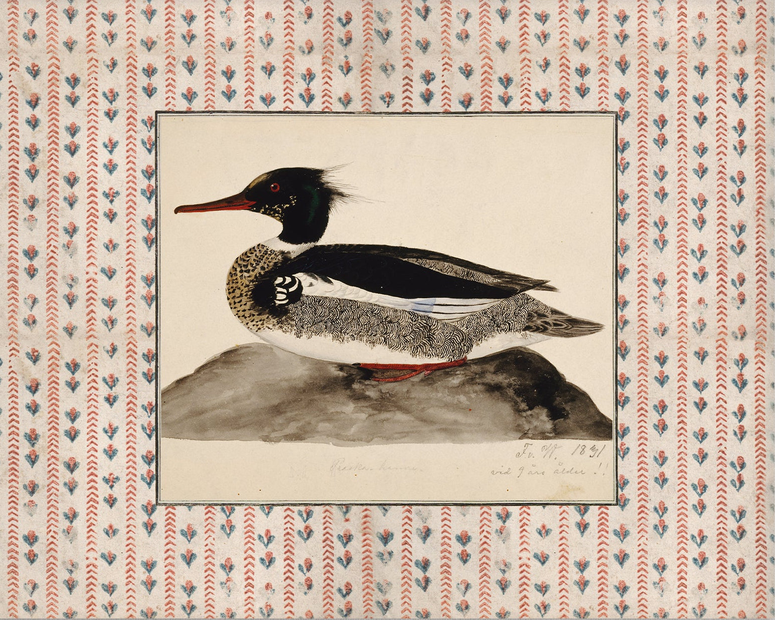 Vintage Duck Art 013 | Unframed