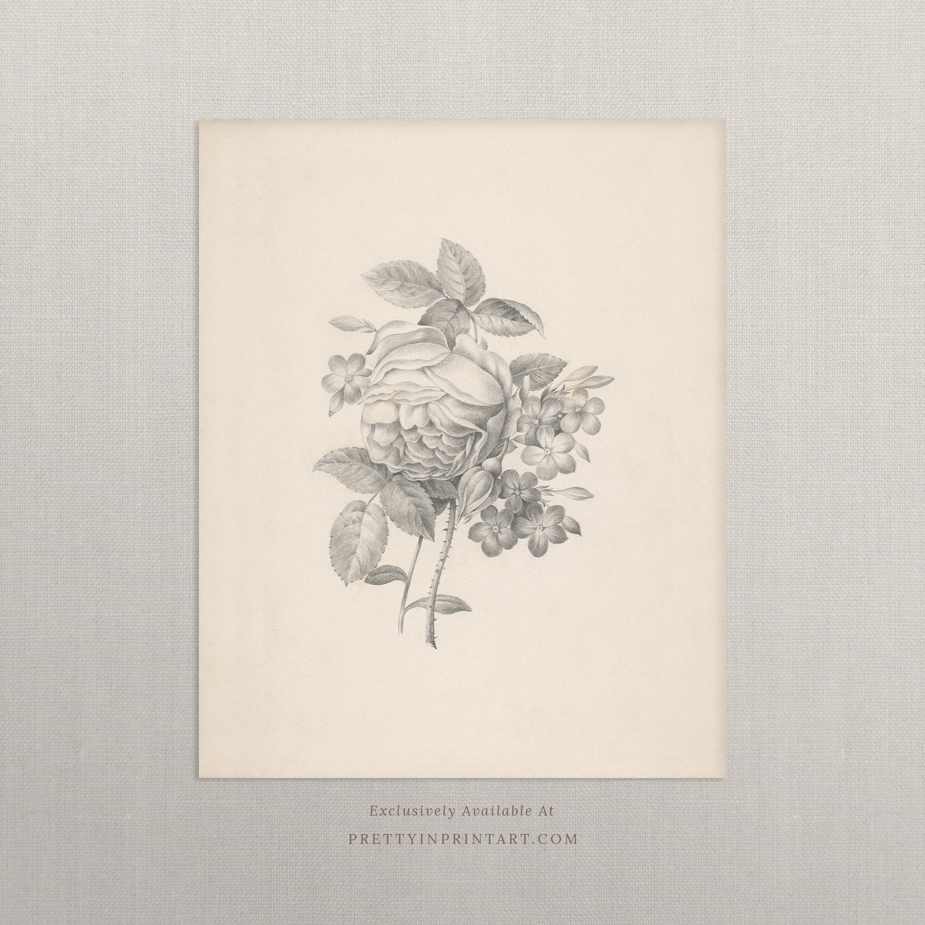 Flower pencil drawing, Floral still life vintage art, Vintage still life art, Framed vintage still life art, Classic picture frame, Vintage-style frame, Framed wall art vintage