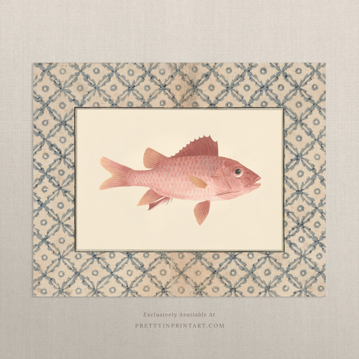 Vintage coral-pink fish art print with a blue lattice border, unframed