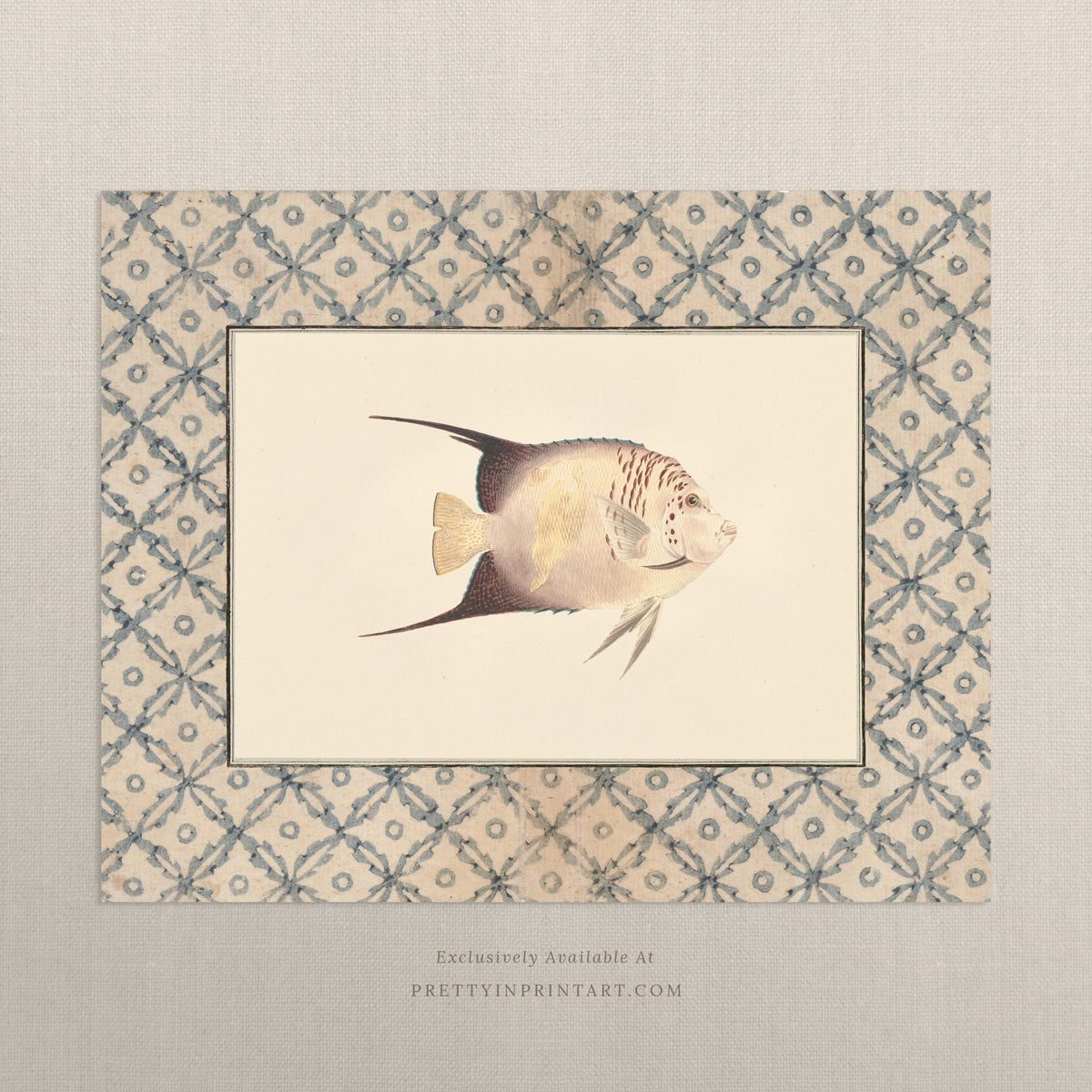 Vintage cream and charcoal angelfish art print with a blue lattice border, unframed