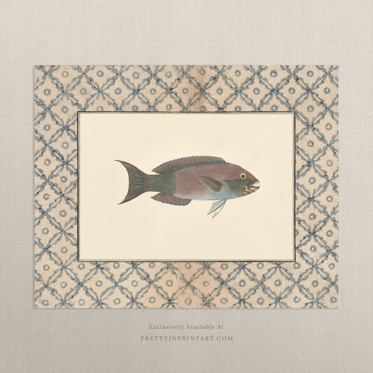 Vintage dusky blue-grey fish art print with a blue lattice border, unframed