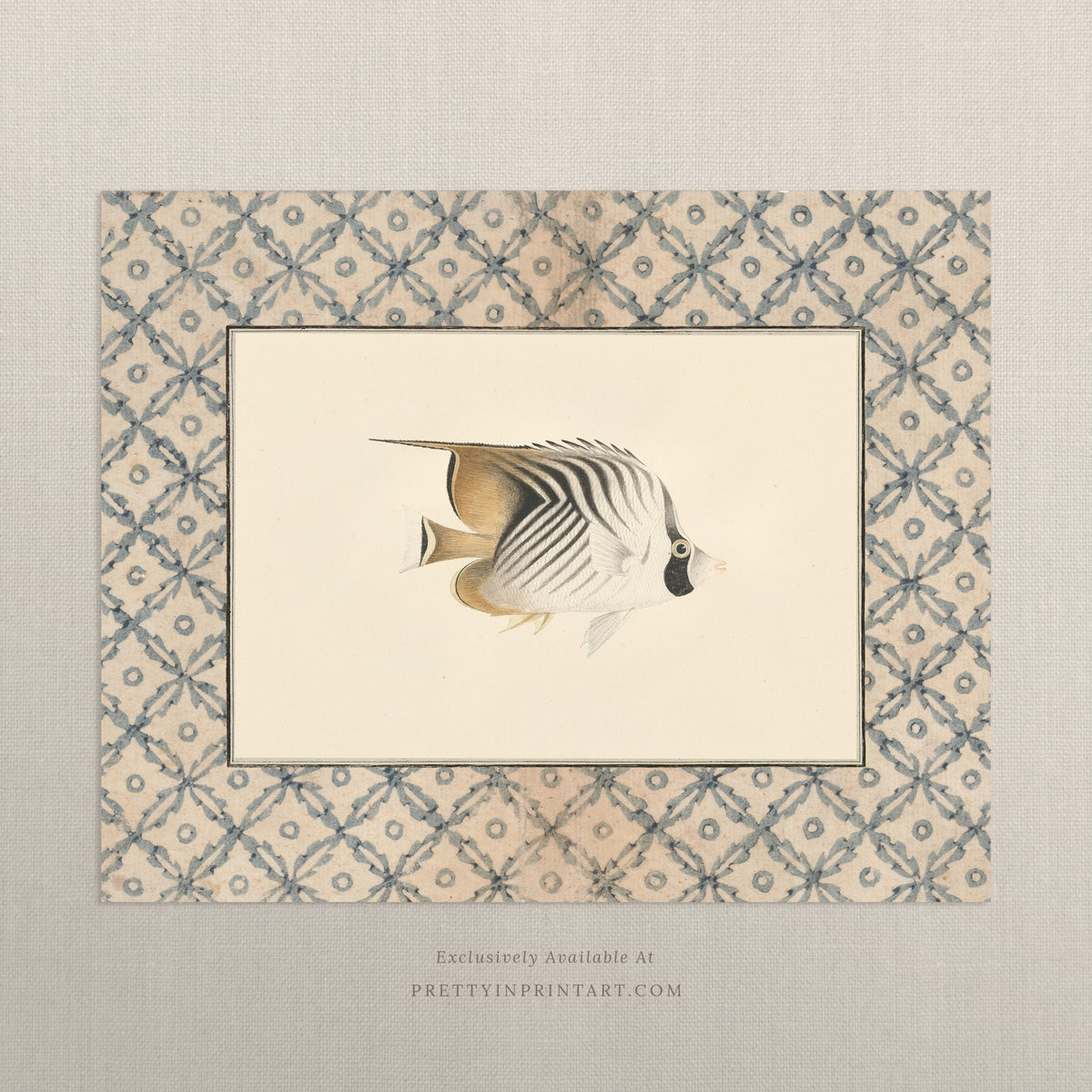 Vintage striped cream and gold butterflyfish art print with a blue lattice border, unframed
