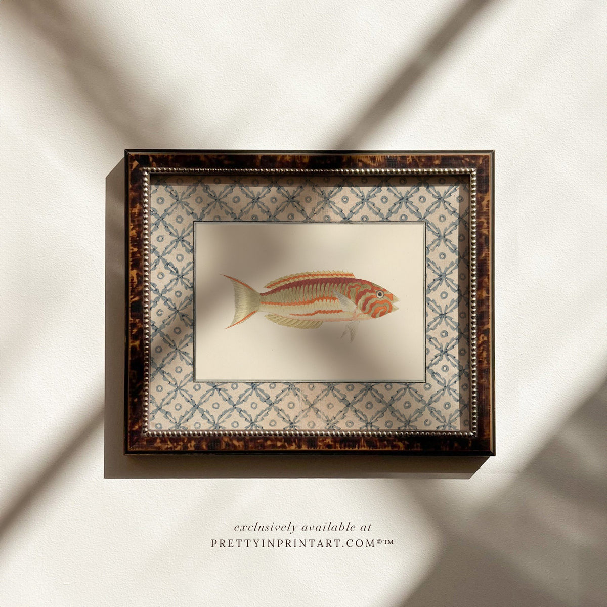 Vintage orange-striped fish art print with a blue lattice border in a tortoiseshell-style wooden frame, ideal for a coastal bathroom or cottage kitchen