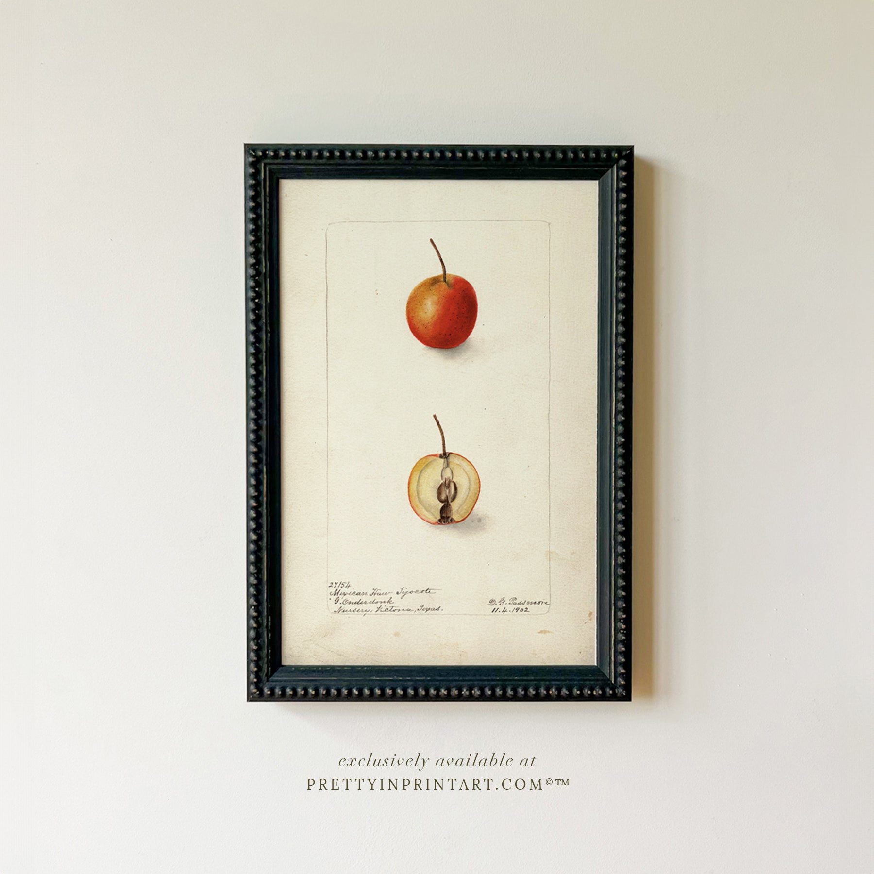 Black bobbin frame with vintage fruit botanical still life art for cottagecore, farmhouse, and traditional interiors