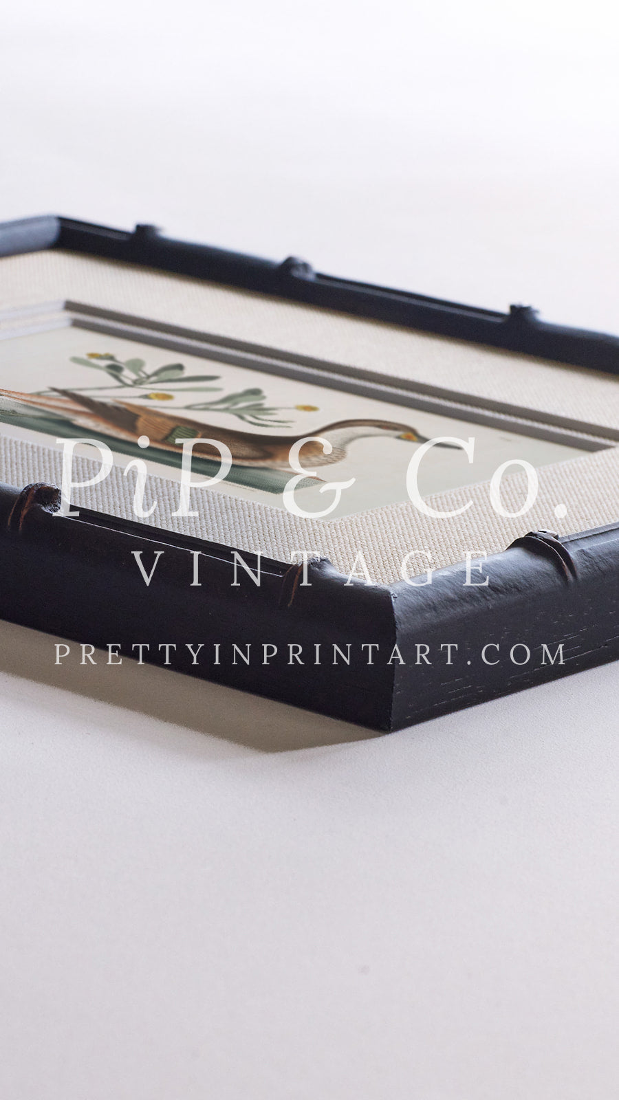 Framed & Mounted Vintage Duck Art 003481/2 | 269