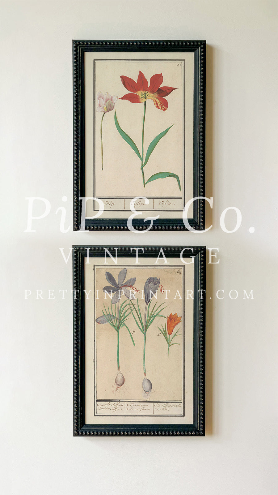 Framed Vintage Flower Art | 002