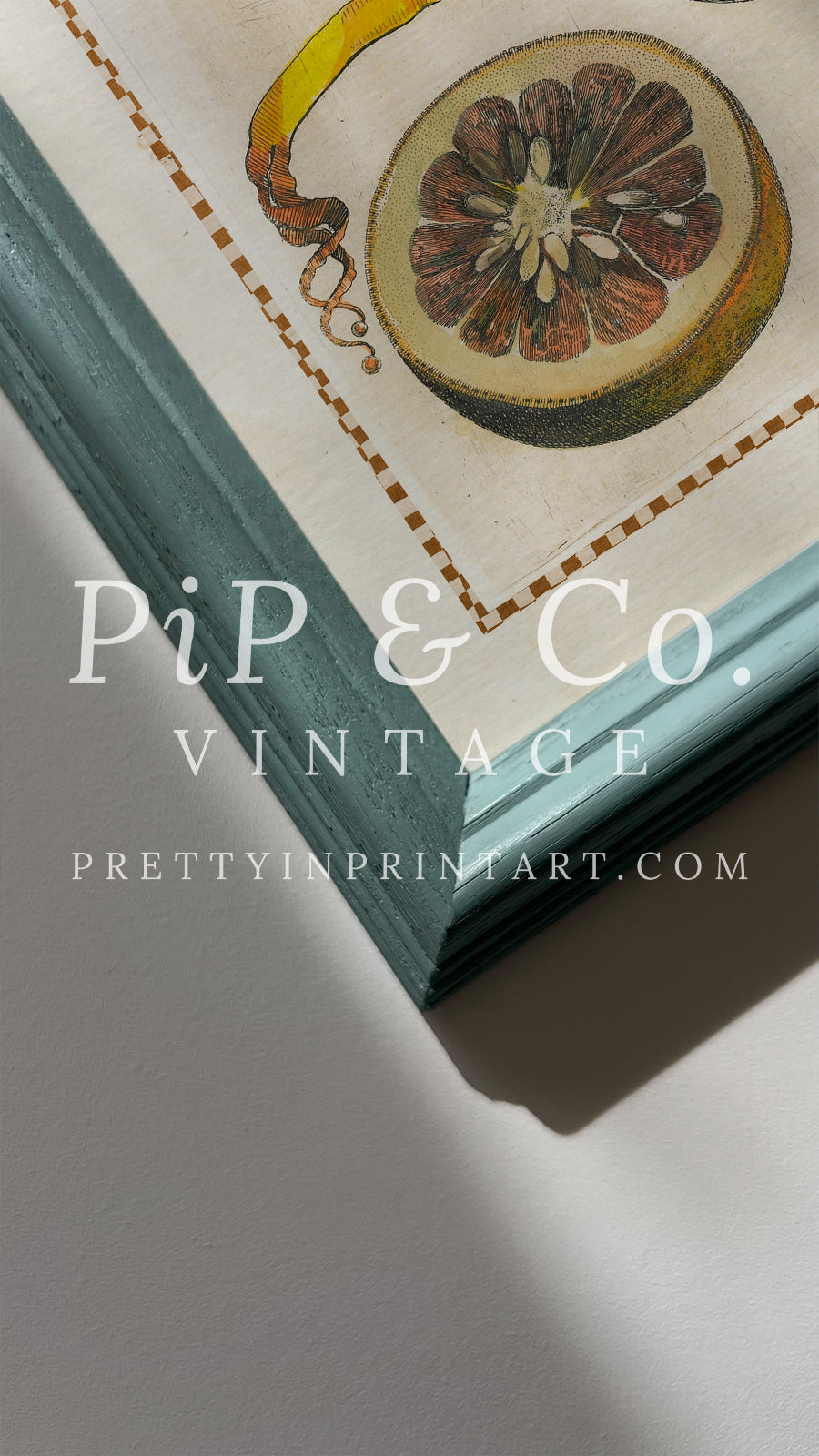 Framed Vintage Citrus Prints – Blue Farrow & Ball Frames for Kitchen Walls 003